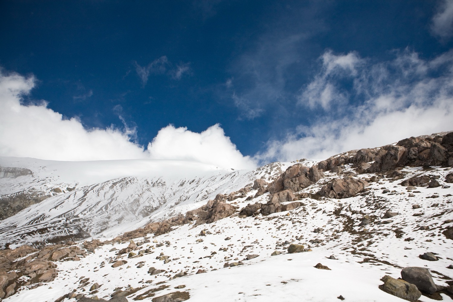 People watching a concert. Photo with a purple hue